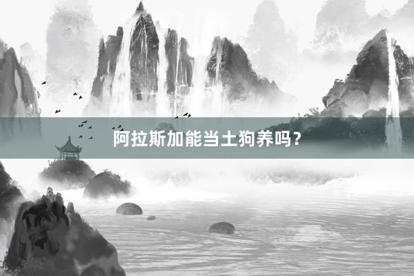 阿拉斯加能当土狗养吗？
